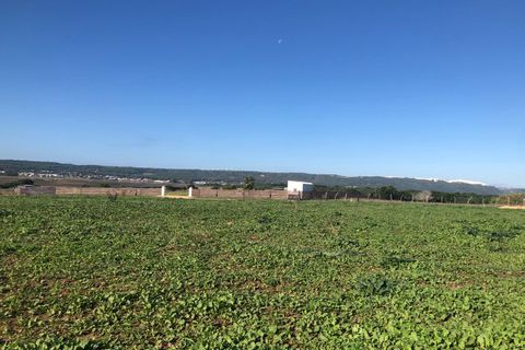 Terra a Barbate, Cadiz, Barbate - € 480.000 | Ref: vc 191 - foto 10